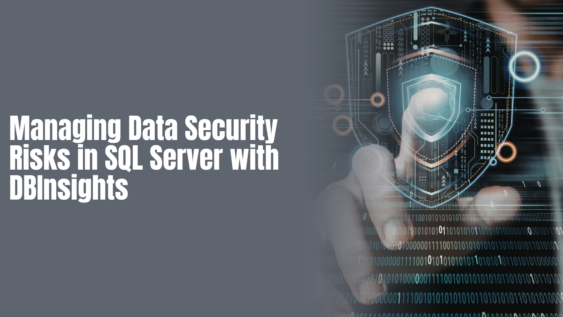 Managing Data Security Risks in SQL Server with DBInsights